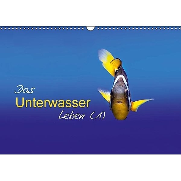 Das Unterwasser Leben (1) (Wandkalender 2017 DIN A3 quer), Marcel Mende