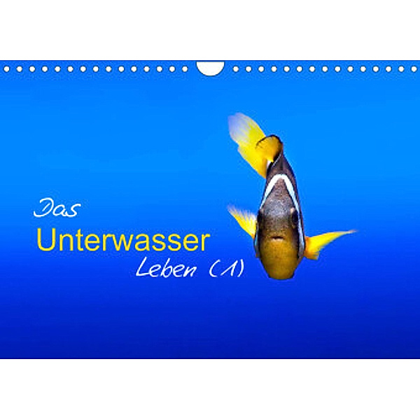 Das Unterwasser Leben (1) (Wandkalender 2022 DIN A4 quer), Marcel Mende