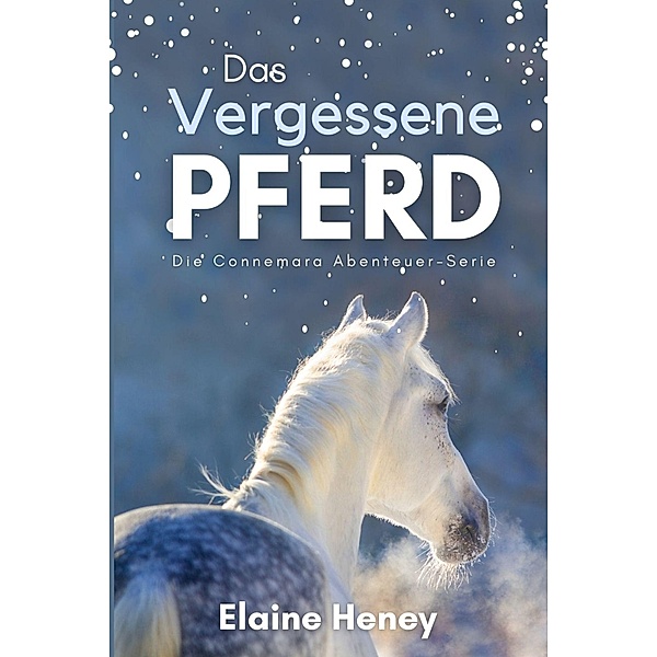 Das vergessene Pferd - Die Connemara Abenteuer-Serie / Die Connemara Abenteuer-Serie Bd.1, Elaine Heney