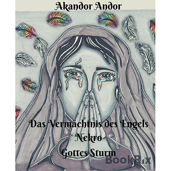 Das Vermächtnis des Engels Nekro - Gottes Sturm / Das Vermächtnis Bd.4, Akandor Andor