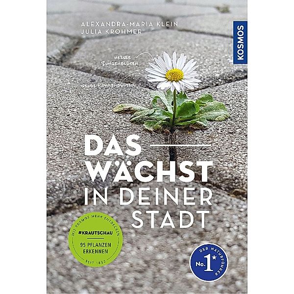 Das wächst in deiner Stadt, Alexandra-Maria Klein, Julia Krohmer