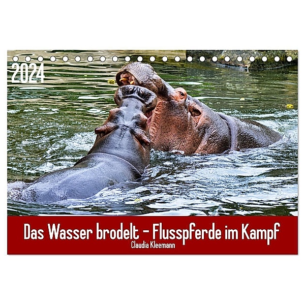 Das Wasser brodelt - Flusspferde im Kampf (Tischkalender 2024 DIN A5 quer), CALVENDO Monatskalender, Claudia Kleemann
