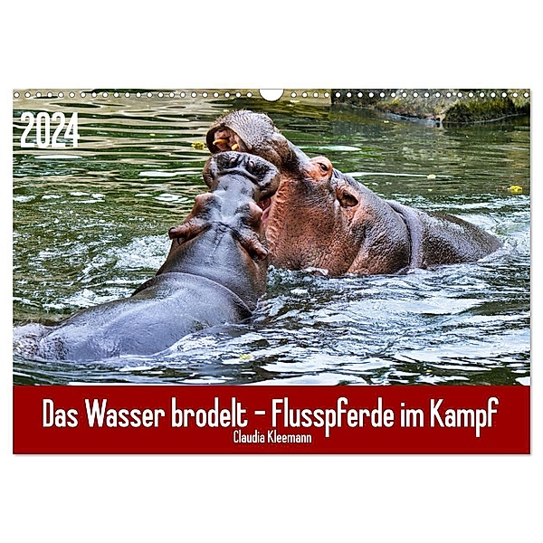 Das Wasser brodelt - Flusspferde im Kampf (Wandkalender 2024 DIN A3 quer), CALVENDO Monatskalender, Claudia Kleemann