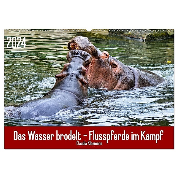 Das Wasser brodelt - Flusspferde im Kampf (Wandkalender 2024 DIN A2 quer), CALVENDO Monatskalender, Claudia Kleemann