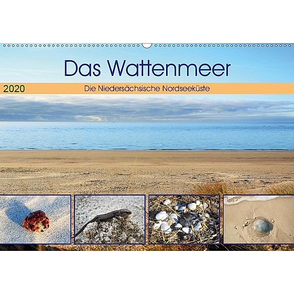 Das Wattenmeer - 2020 (Wandkalender 2020 DIN A2 quer), Günther Klünder