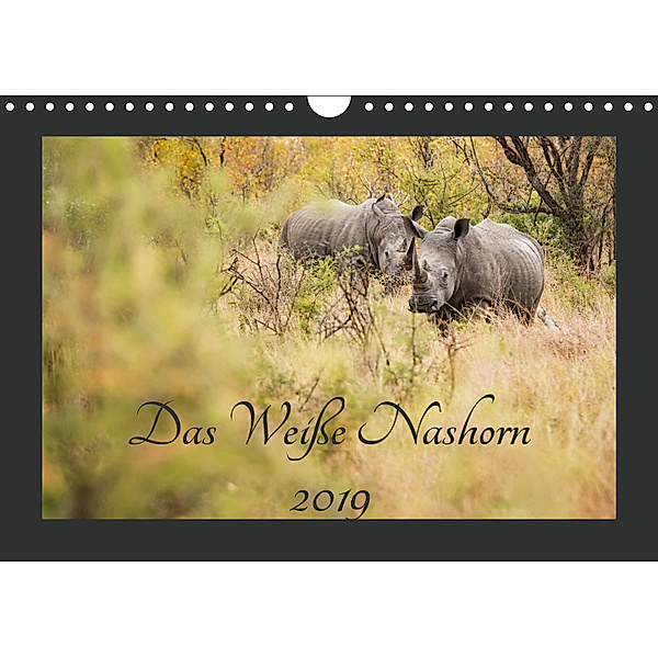 Das Wei?e Nashorn (Wandkalender 2019 DIN A4 quer), Kirsten Karius
