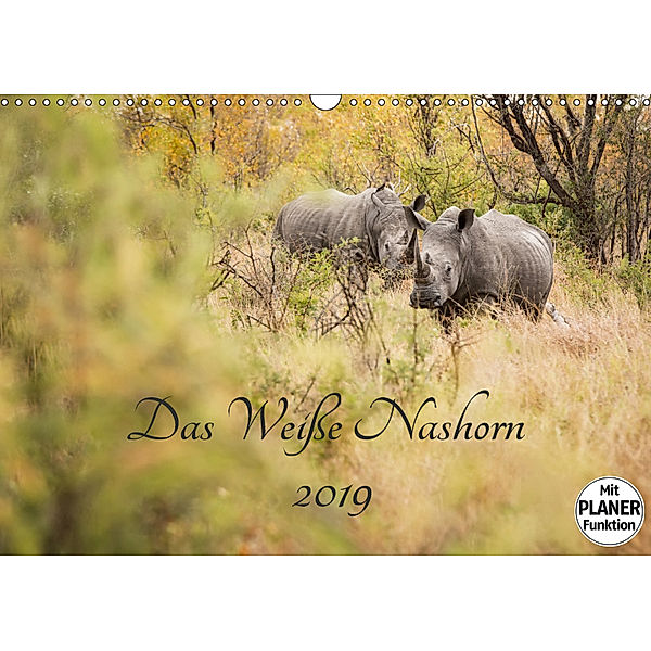 Das Weiße Nashorn (Wandkalender 2019 DIN A3 quer), Kirsten Karius