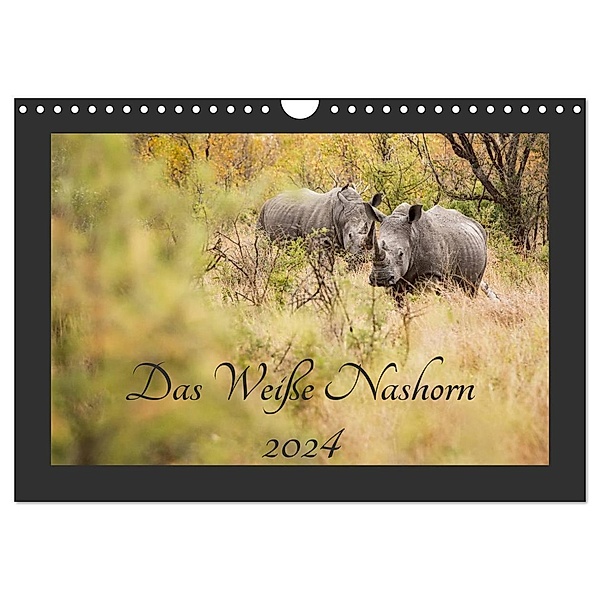 Das Weiße Nashorn (Wandkalender 2024 DIN A4 quer), CALVENDO Monatskalender, ©Kirsten und Holger Karius