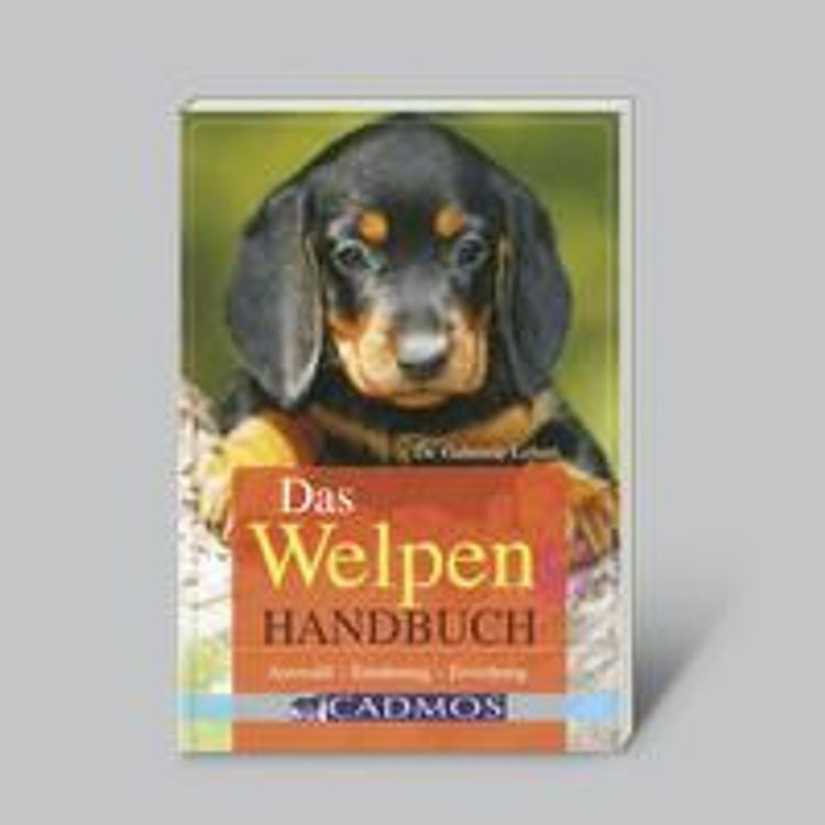 Das Welpen-Handbuch Auswahl-Ernährung-Erziehung Buch - Weltbild.de