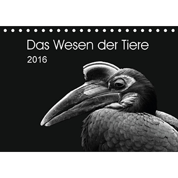 Das Wesen der Tiere (Tischkalender 2016 DIN A5 quer), Ursula Kunz