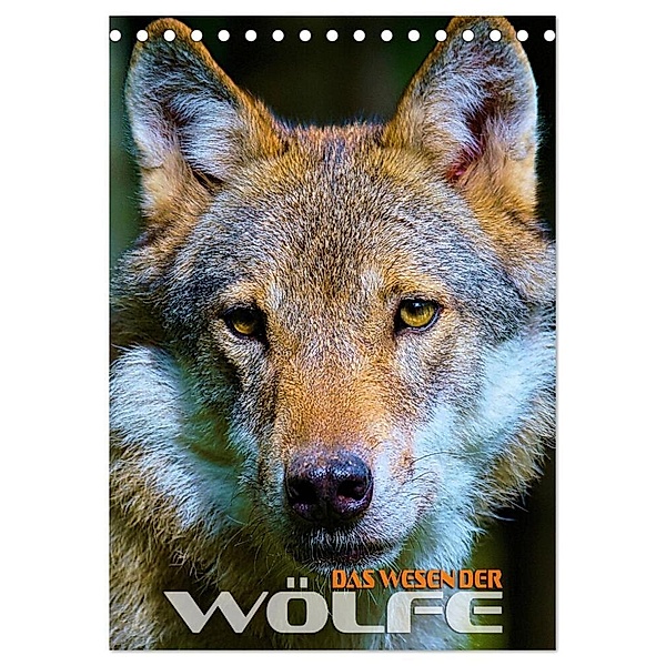 Das Wesen der Wölfe (Tischkalender 2024 DIN A5 hoch), CALVENDO Monatskalender, Renate Utz