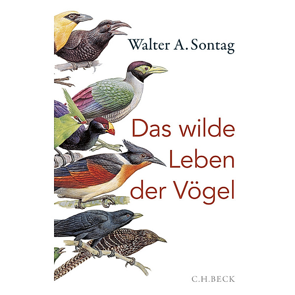 Das wilde Leben der Vögel, Walter A. Sontag