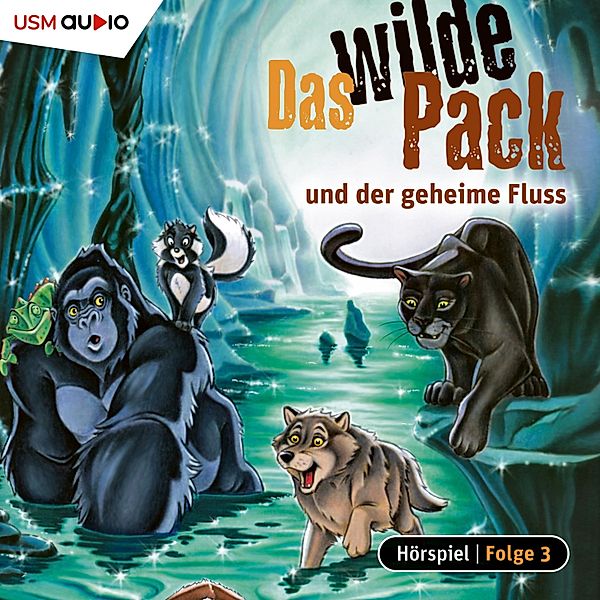 Das wilde Pack - 3 - Das wilde Pack und der geheime Fluss, André Marx, Boris Pfeiffer