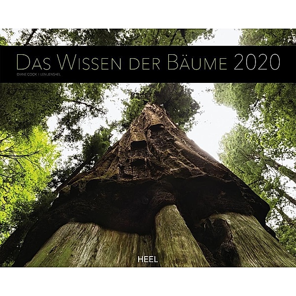 Das Wissen der Bäume 2020, Diane Cook, Len Jenshel