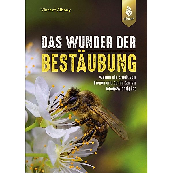 Das Wunder der Bestäubung, Vincent Albouy