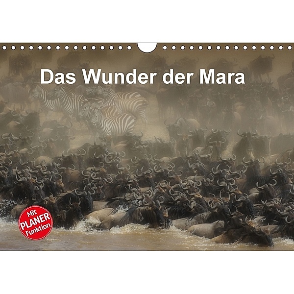 Das Wunder der Mara (Wandkalender 2018 DIN A4 quer), Susan Michel