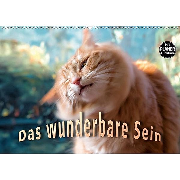 Das wunderbare Sein (Wandkalender 2017 DIN A2 quer), Viktor Gross