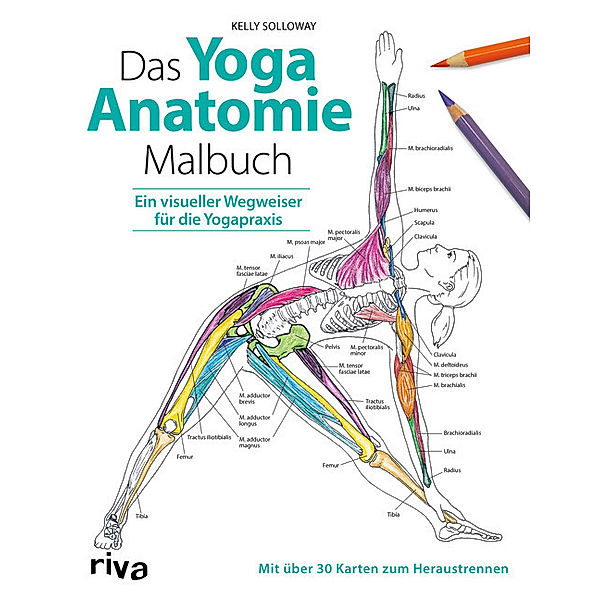 Das Yoga-Anatomie-Malbuch, Kelly Solloway, Samantha Stutzman