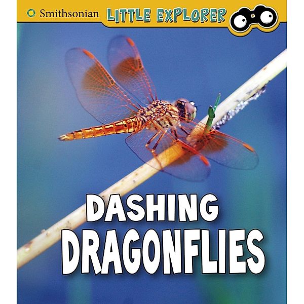 Dashing Dragonflies, Megan Cooley Peterson