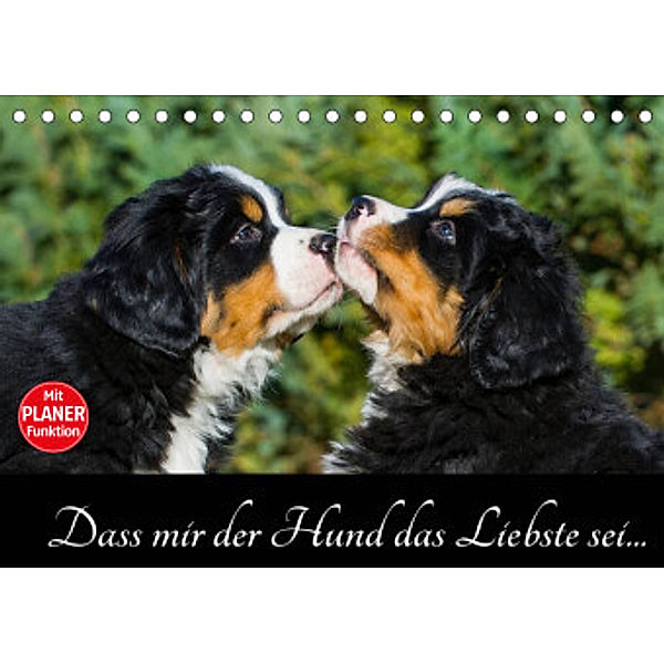 Dass mir der Hund das Liebste sei... (Tischkalender 2022 DIN A5 quer), Sigrid Starick