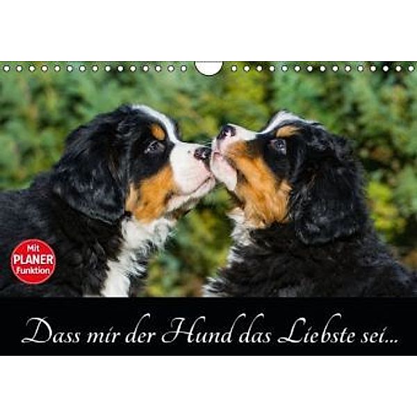 Dass mir der Hund das Liebste sei... (Wandkalender 2016 DIN A4 quer), Sigrid Starick