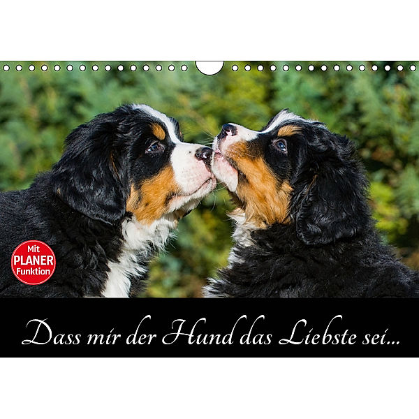 Dass mir der Hund das Liebste sei... (Wandkalender 2019 DIN A4 quer), Sigrid Starick