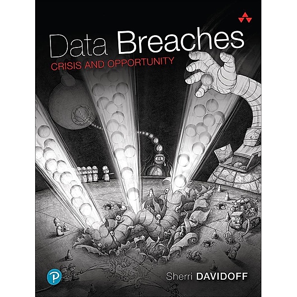 Data Breaches, Sherri Davidoff