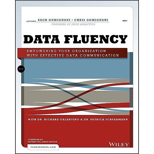 Data Fluency, Zach Gemignani, Chris Gemignani, Richard Galentino, Patrick Schuermann