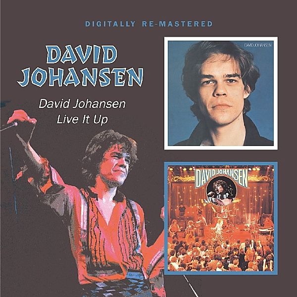 David Johansen/Live It Up, David Johansen