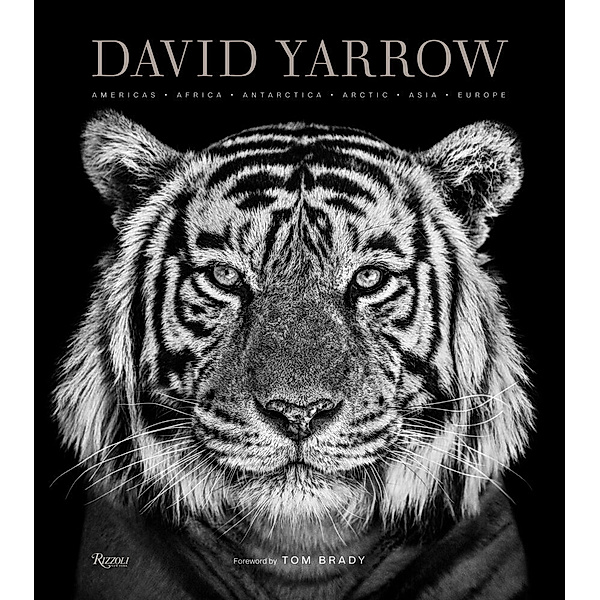 David Yarrow Photography, David Yarrow