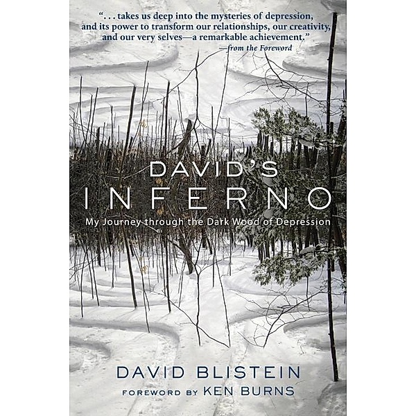 David's Inferno, David Blistein