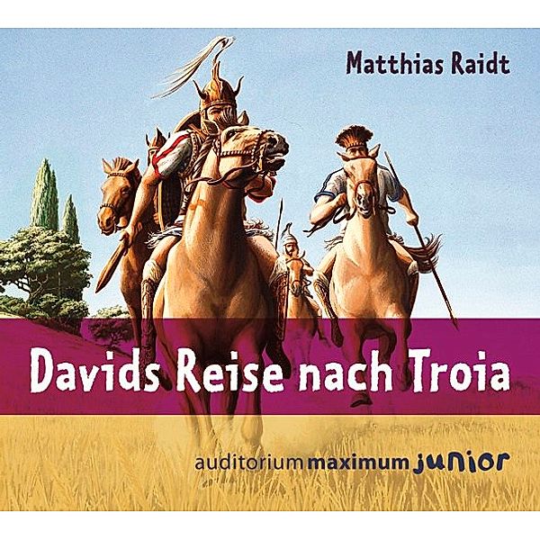 Davids Reise nach Troia, Matthias Raidt