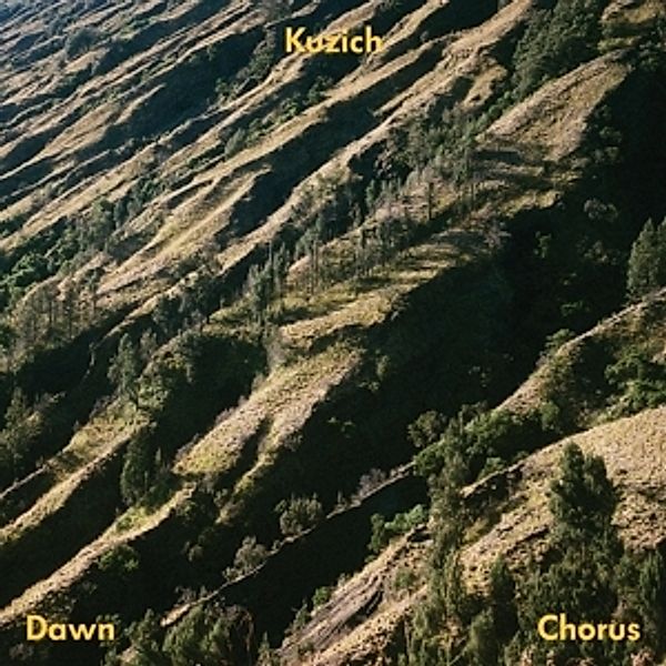 Dawn Chorus (Lp+Mp3) (Vinyl), Kuzich