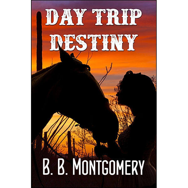 Day Trip Destiny, B. B. Montgomery