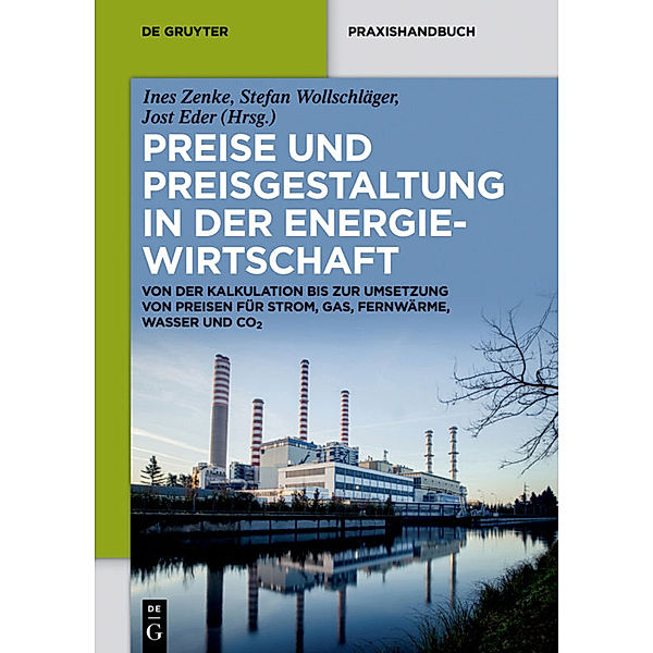 De Gruyter Praxishandbuch / Preise und Preisgestaltung in der Energiewirtschaft