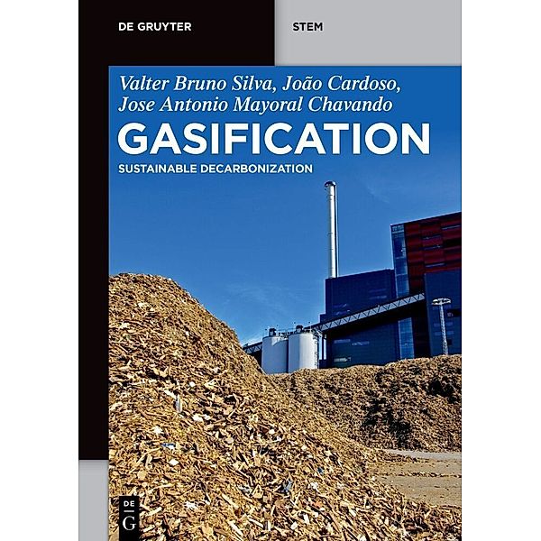 De Gruyter STEM / Gasification, Valter Bruno Silva, João Cardoso, Antonio Chavando