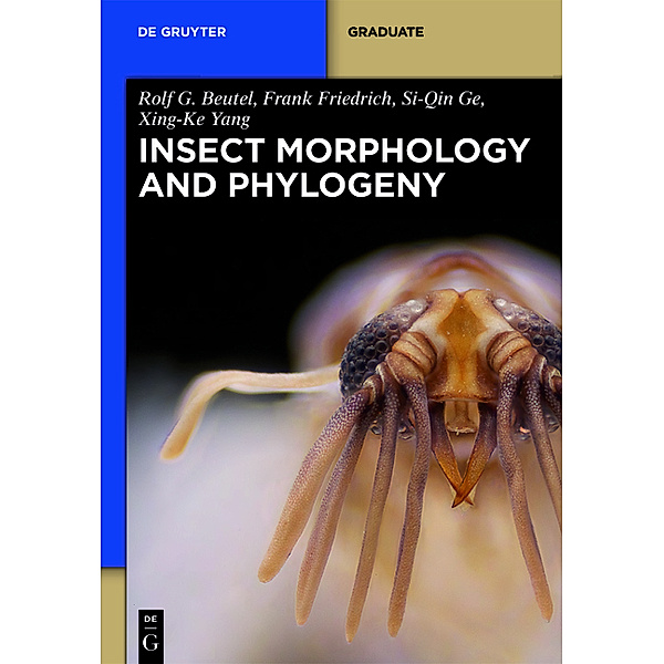 De Gruyter Textbook / Insect Morphology and Phylogeny, Rolf G. Beutel, frank friedrich
