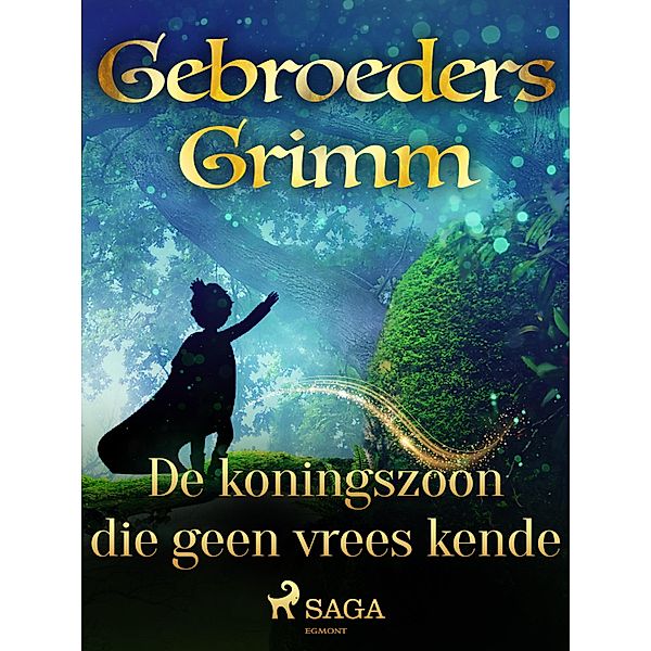De koningszoon die geen vrees kende / Grimm's sprookjes Bd.81, de Gebroeders Grimm