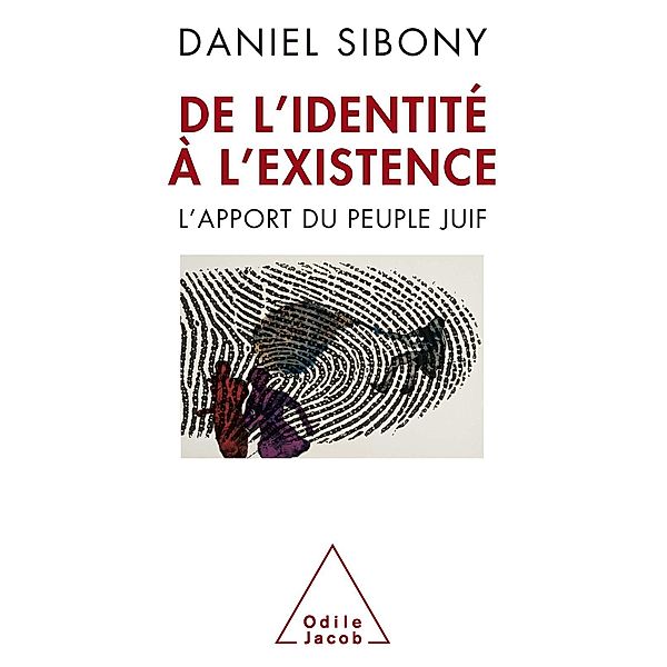 De l'identite a l'existence, Sibony Daniel Sibony