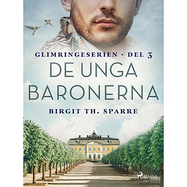 De unga baronerna / Glimringeserien Bd.3, Birgit Th. Sparre