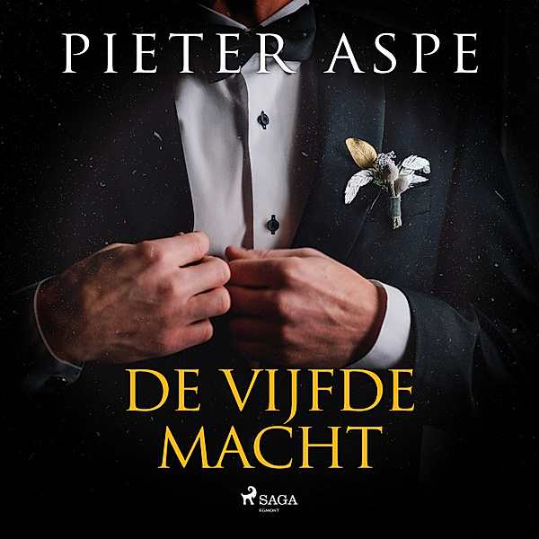 De vijfde macht, Pieter Aspe