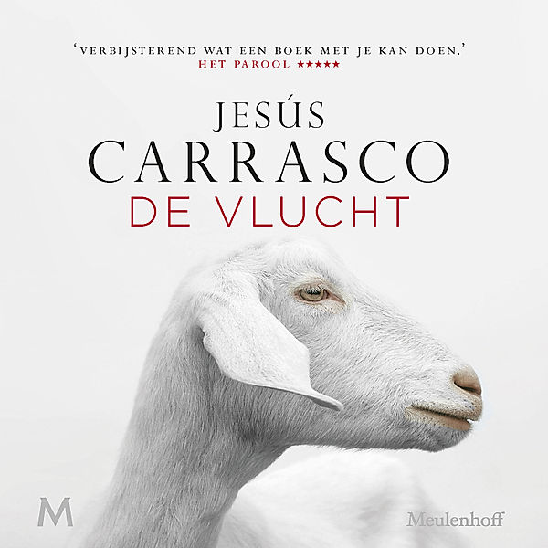 De vlucht, Jesús Carrasco