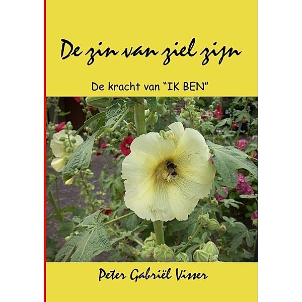 De zin van ziel zijn, Peter Gabriël Visser