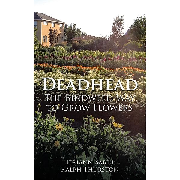 Deadhead, Jeriann Sabin