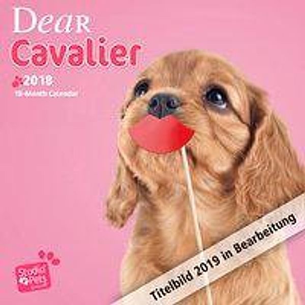 Dear Cavalier 2019, Myrna Huijing