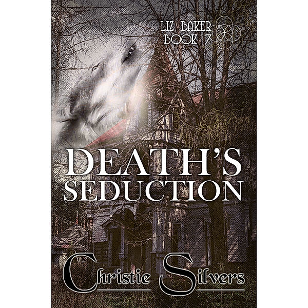 Death's Seduction (Liz Baker, book 7), Christie Silvers