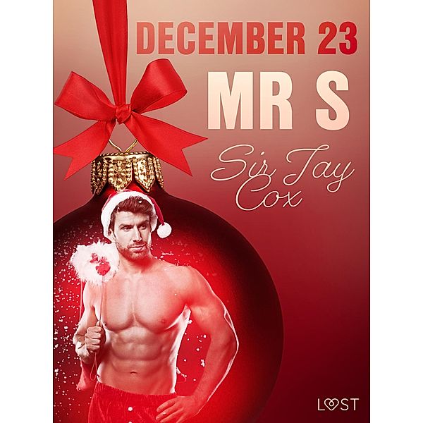 December 23: Mr S - An Erotic Christmas Calendar / Erotic Christmas Calendar Bd.23, Jay Cox