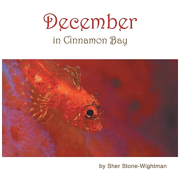 December in Cinnamon Bay, Sher Stone-Wightman