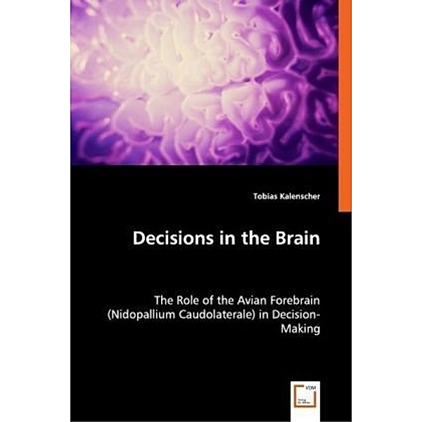 Decisions in the Brain, Tobias Kalenscher
