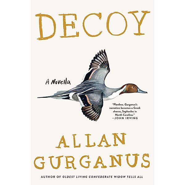 Decoy: A Novella, Allan Gurganus
